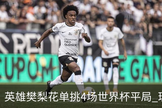 英雄樊梨花单挑4场世界杯平局 理论中足彩500万